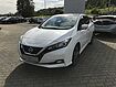 Nissan Leaf Tageszulassung anzeigen Nissan Leaf Tageszulassung anzeigen